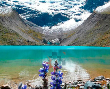 Laguna Humantay Trek 1 Día